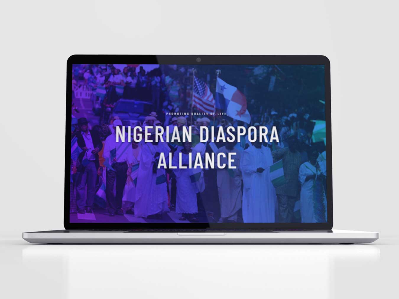 The Nigerian Diaspora Website